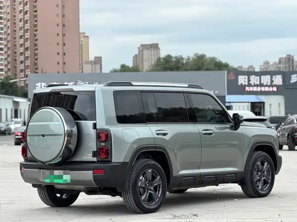 Haval Raptors New Energy 2024