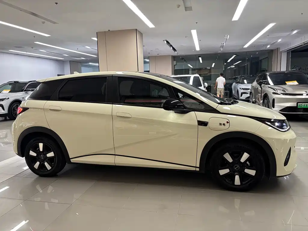 BYD Dolphin 2025
