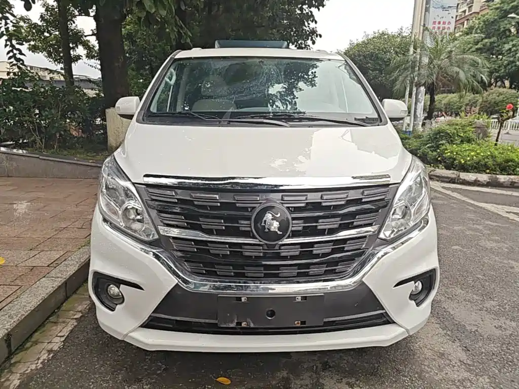 Fengxing Lingzhi PLUS 2024