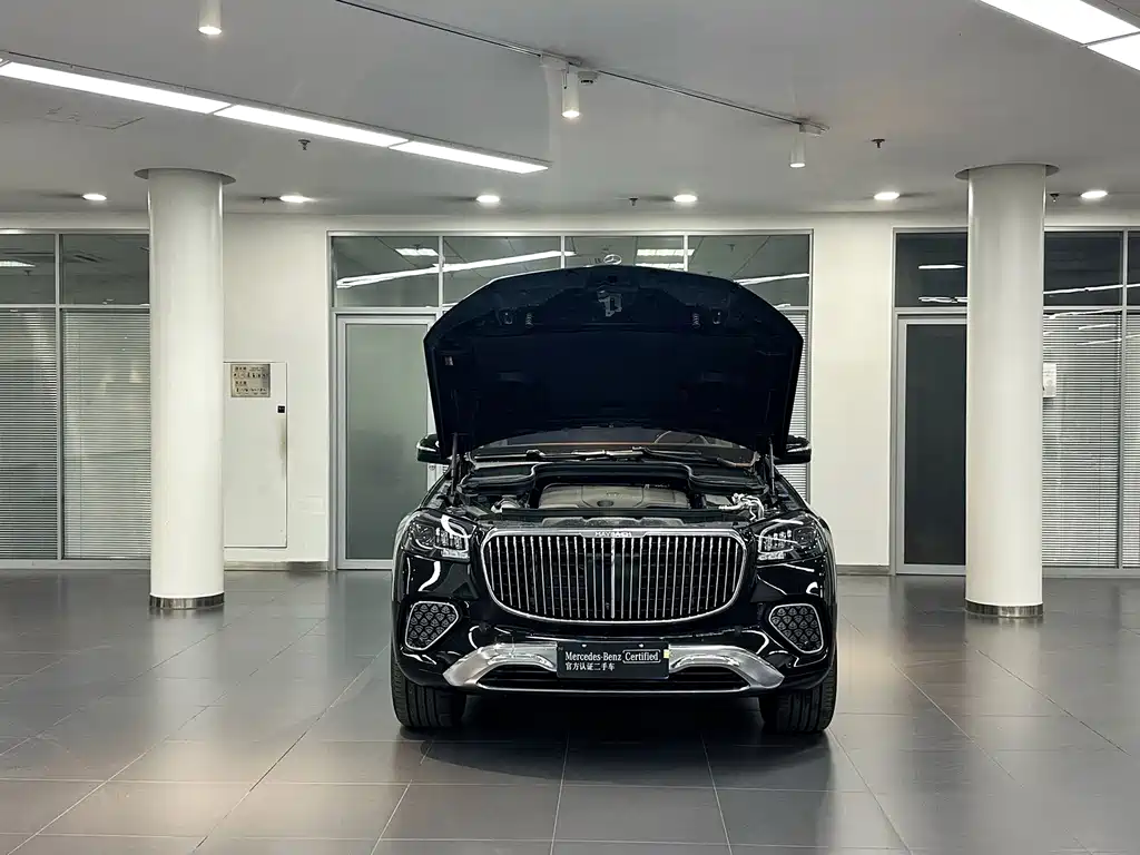 Mercedes-Benz Maybach GLS 2025 — фото 3