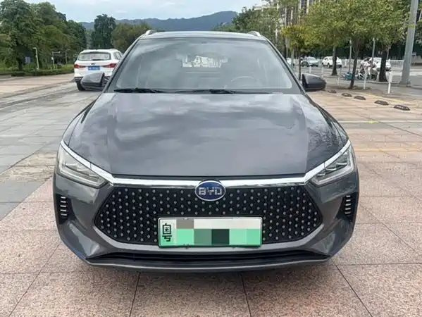 BYD e2 2021