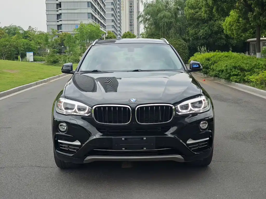 BMW X6 2019 — фото 2