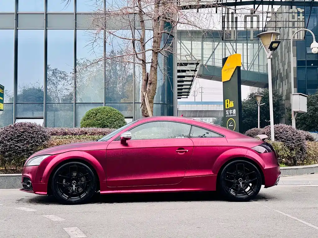 Audi TTS 2013