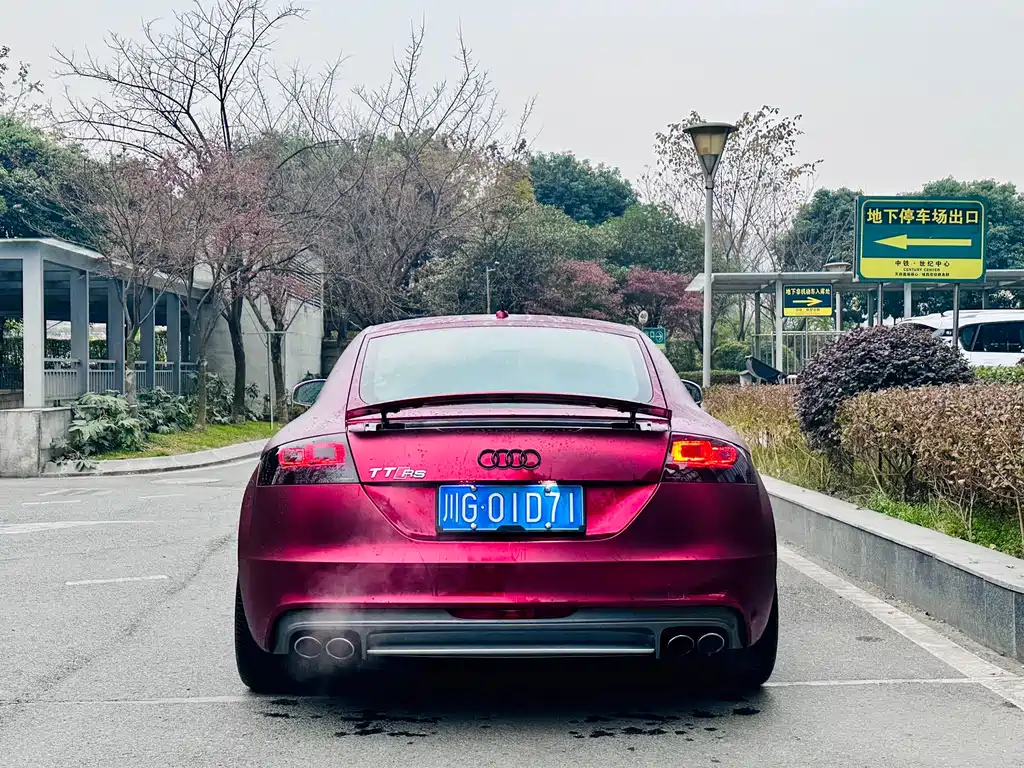 Audi TTS 2013