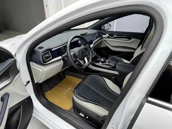 BYD Qin PLUS 2021