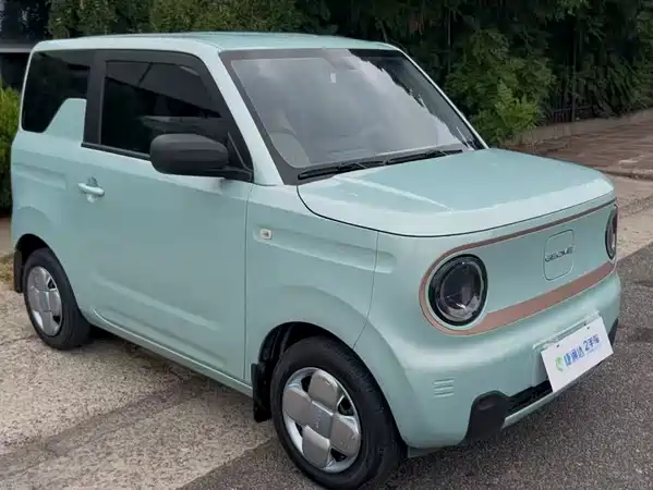 Geely Galaxy Panda 2024