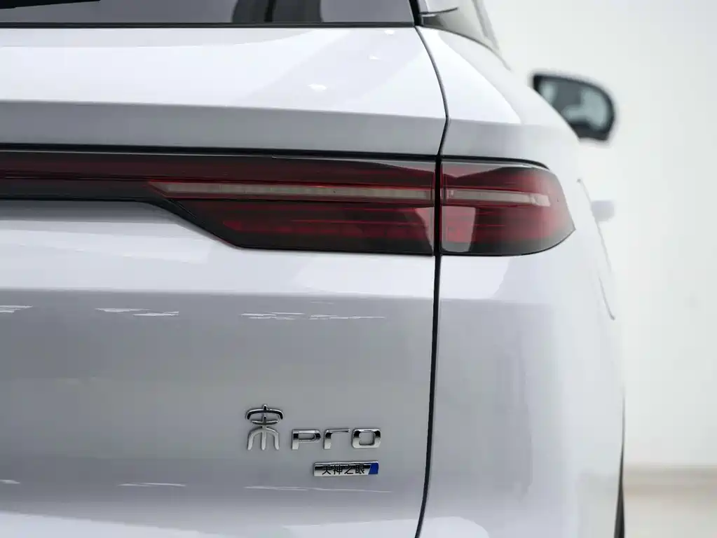 BYD Pro New Energy 2025 — фото 19