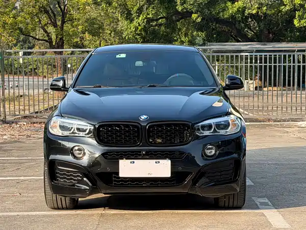 BMW X6 2019