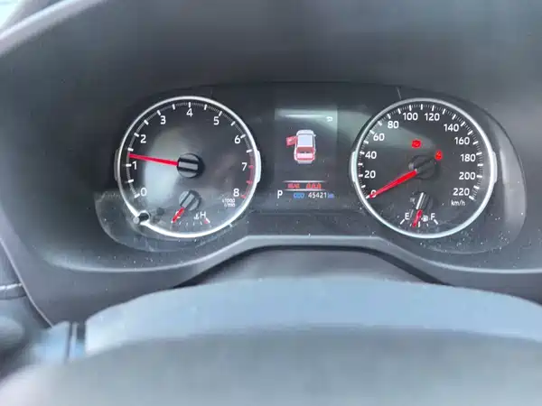 Toyota Wildlander 2021