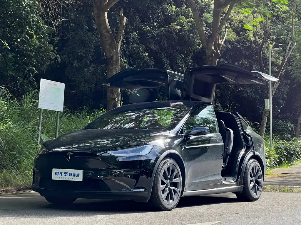 Tesla Model X 2023 — фото 1