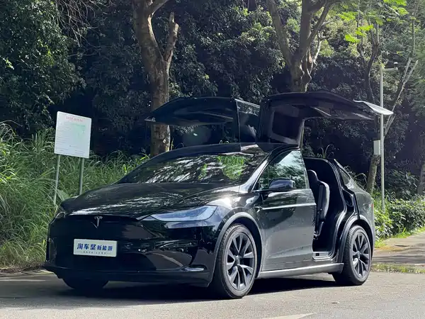 Tesla Model X 2023