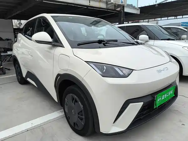 BYD Seagull 2024