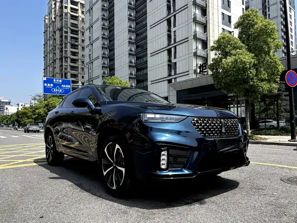 Wey VV7 GT 2020