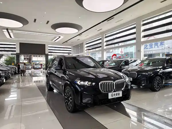 BMW X5 2025