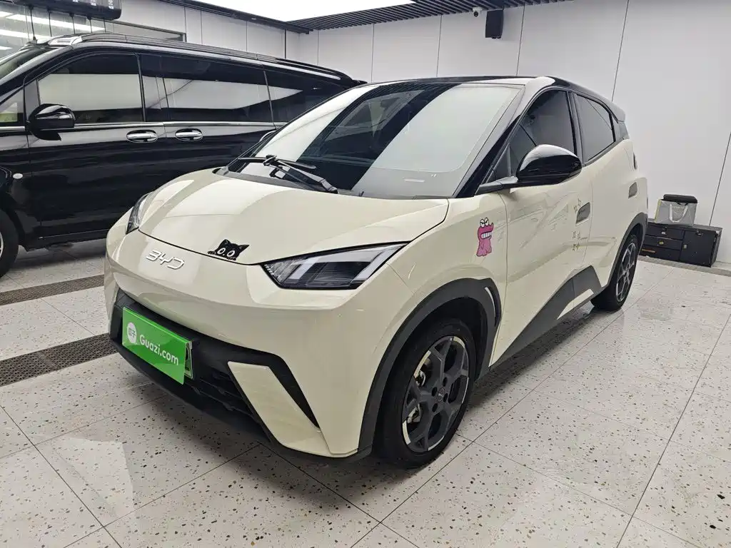 BYD Seagull 2024 — фото 1