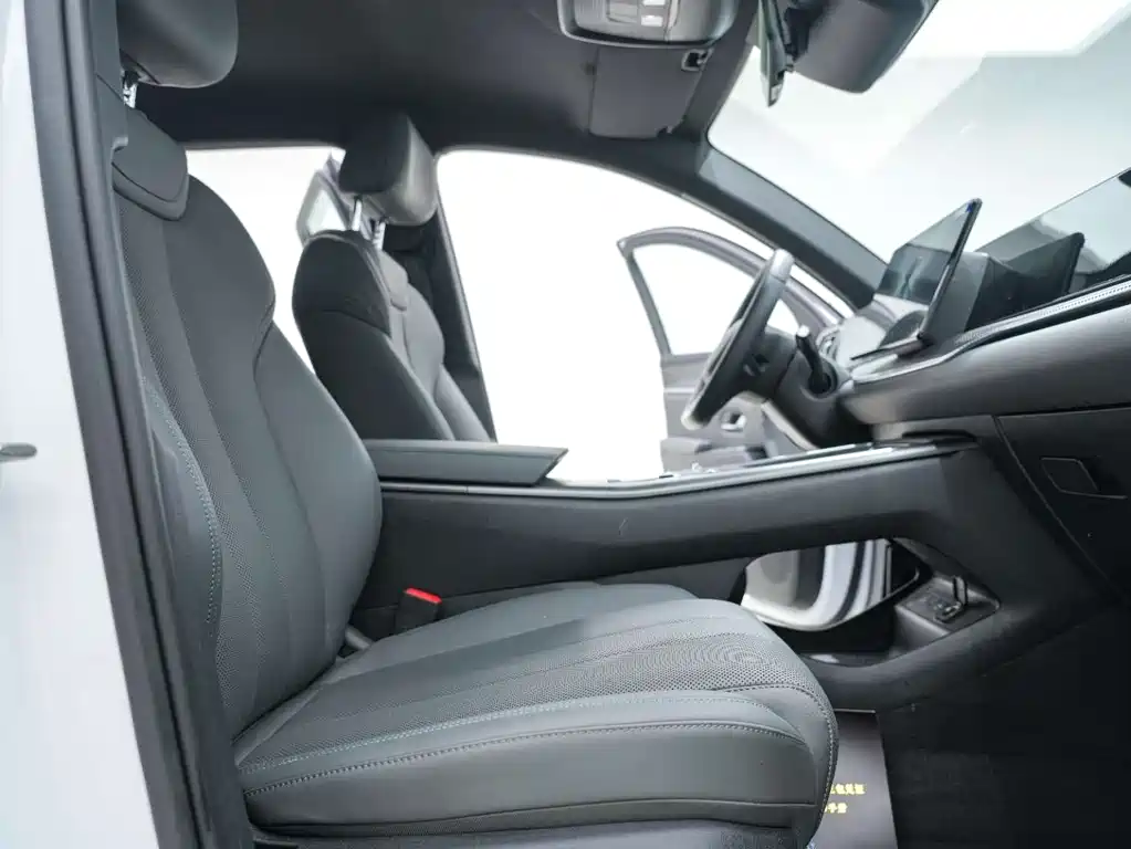 BYD Pro New Energy 2025 — фото 25