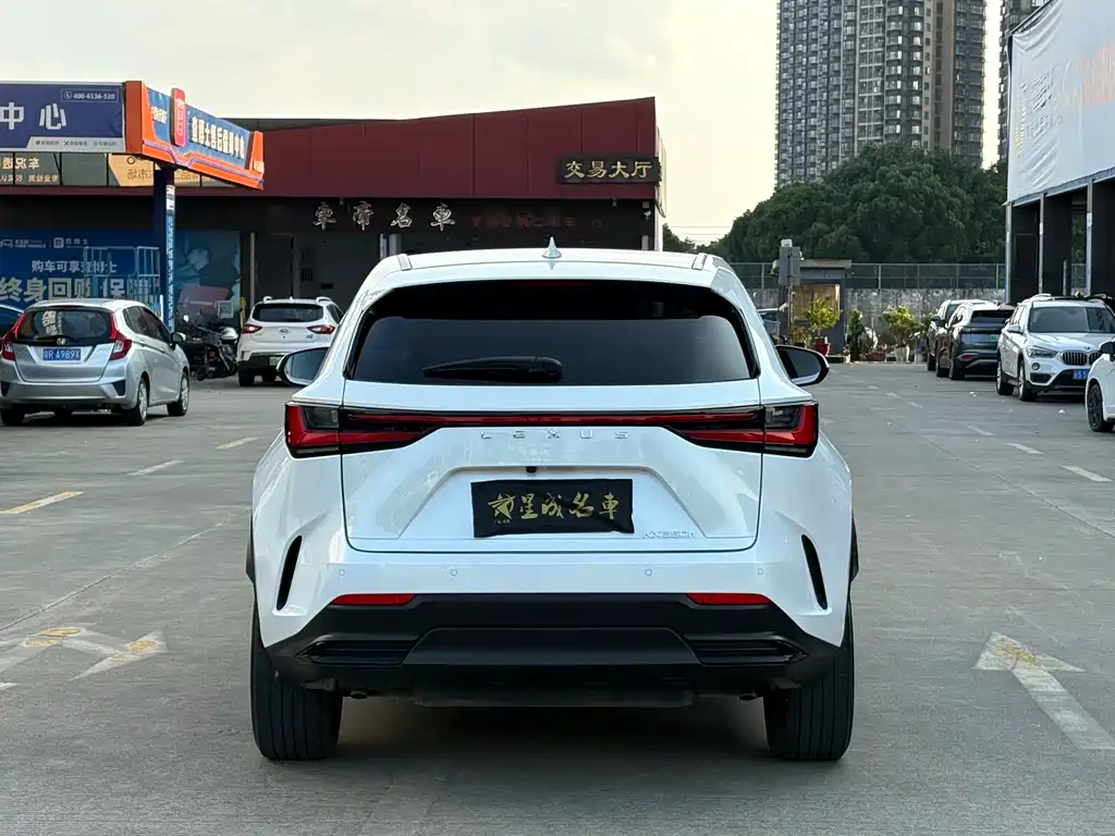 Lexus NX 2024 — фото 19