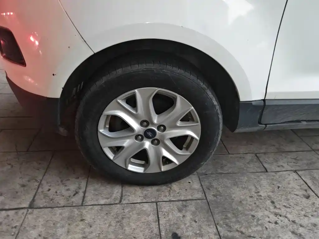 Ford EcoSport 2015 — фото 23