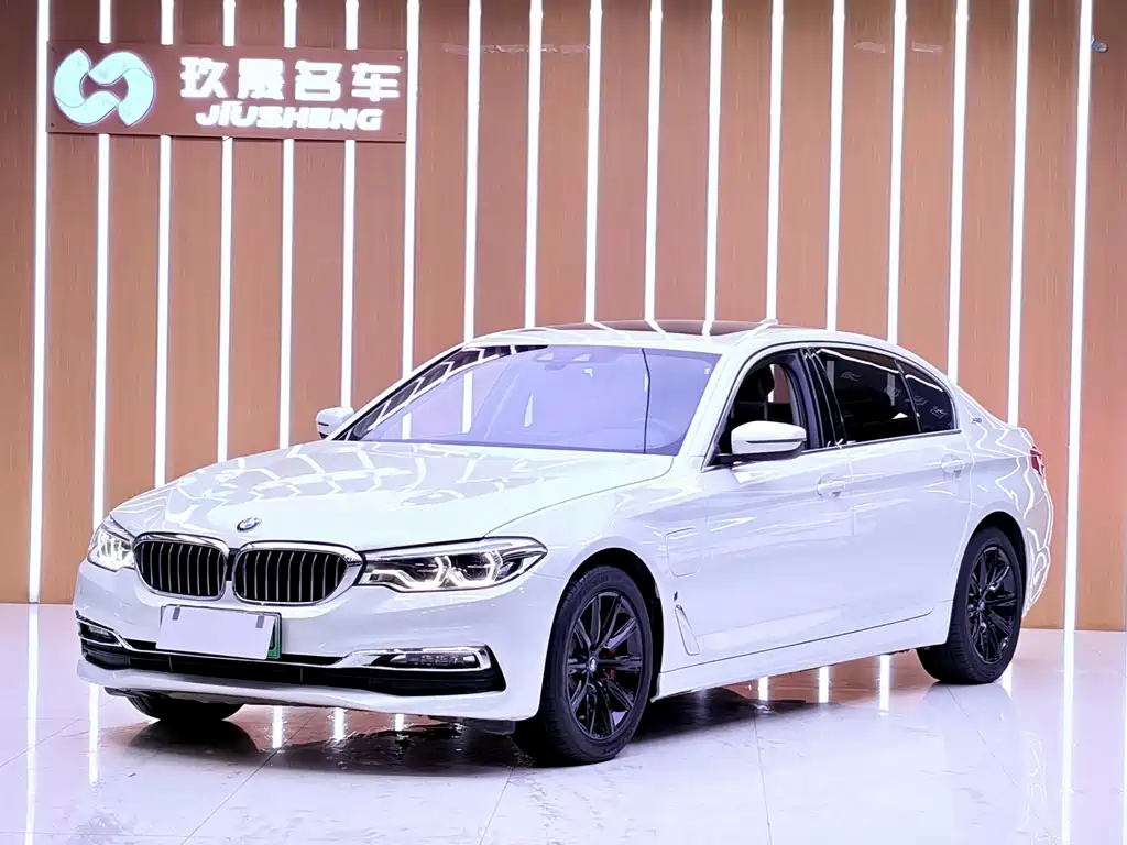 BMW 5 Series New Energy 2018