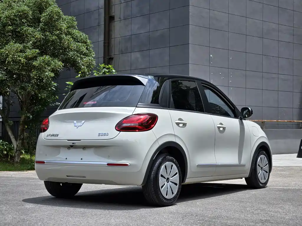 Wuling Bingo 2024