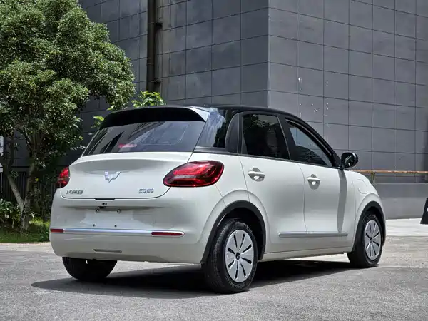 Wuling Bingo 2024