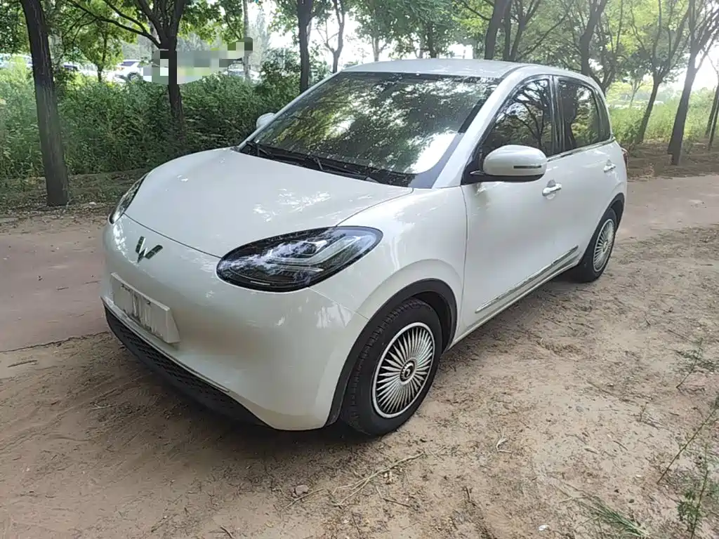 Wuling Bingo 2023