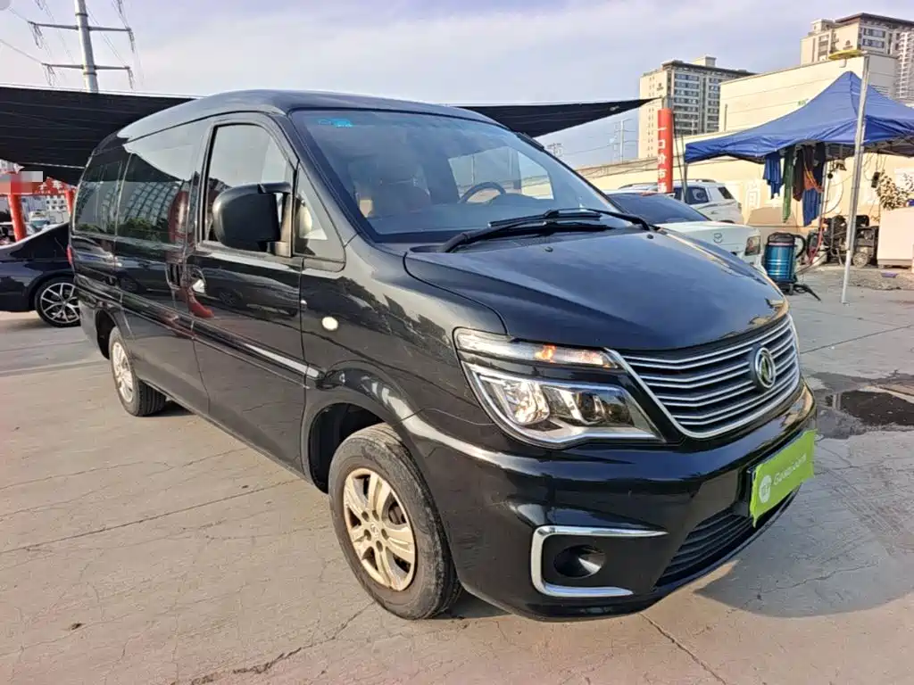 Fengxing Lingzhi 2020