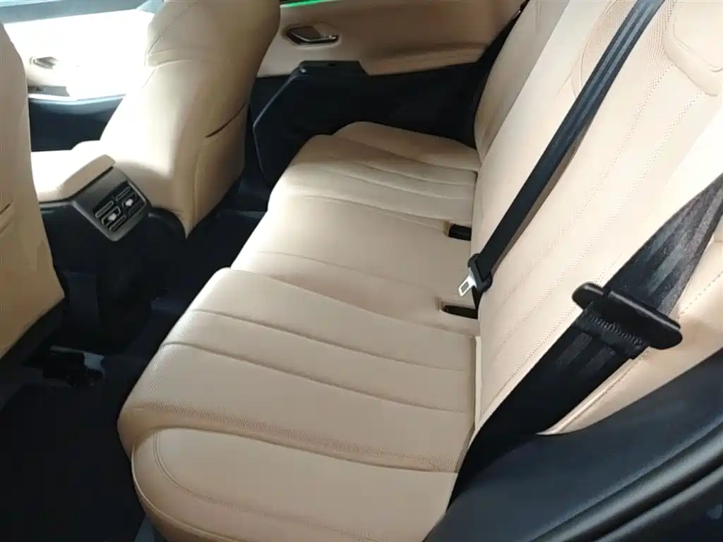 BYD Pro New Energy 2025 — фото 17
