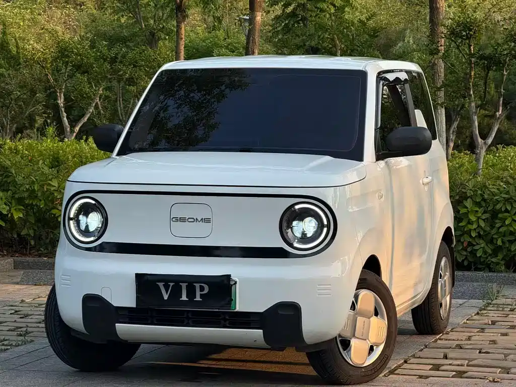 Galaxy Panda 2025