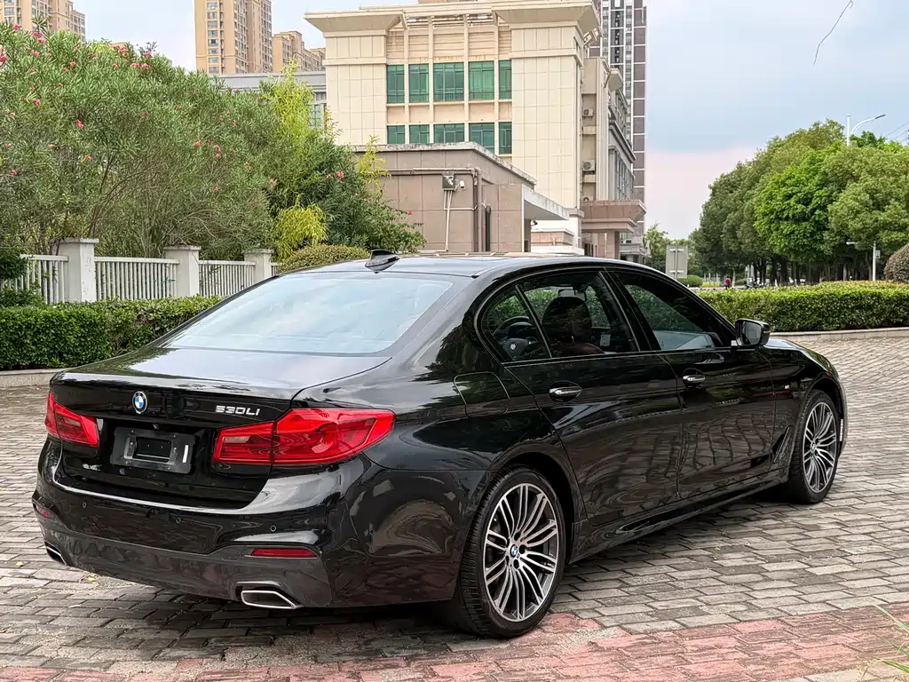 BMW 5 Series 2018 — фото 13