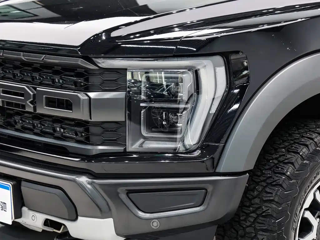 Ford F-150 Raptor 2023 — фото 8