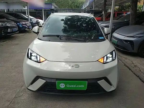 BYD Seagull 2024