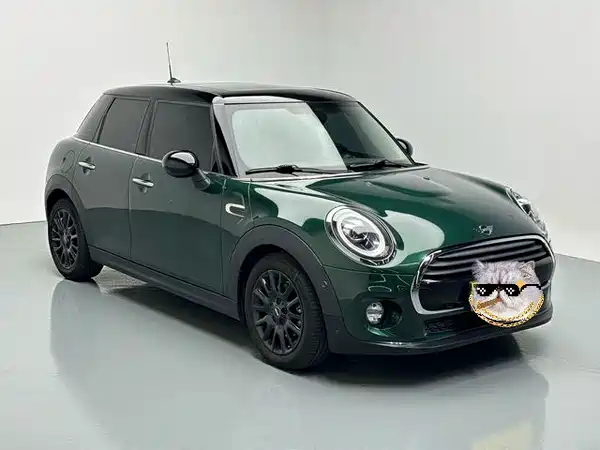 MINI MINI 2019