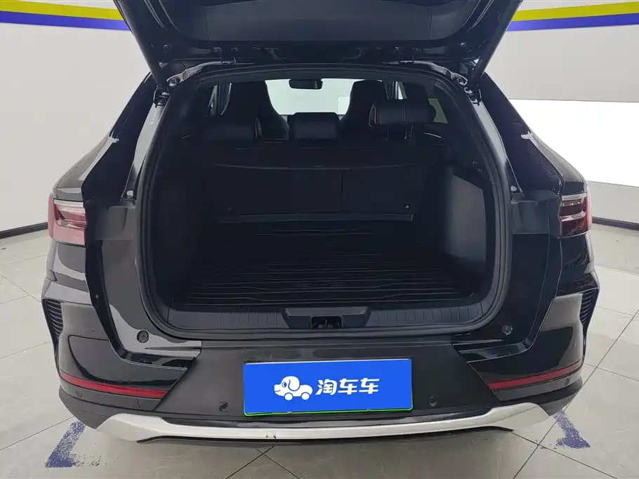 BYD PLUS New Energy 2023 — фото 4