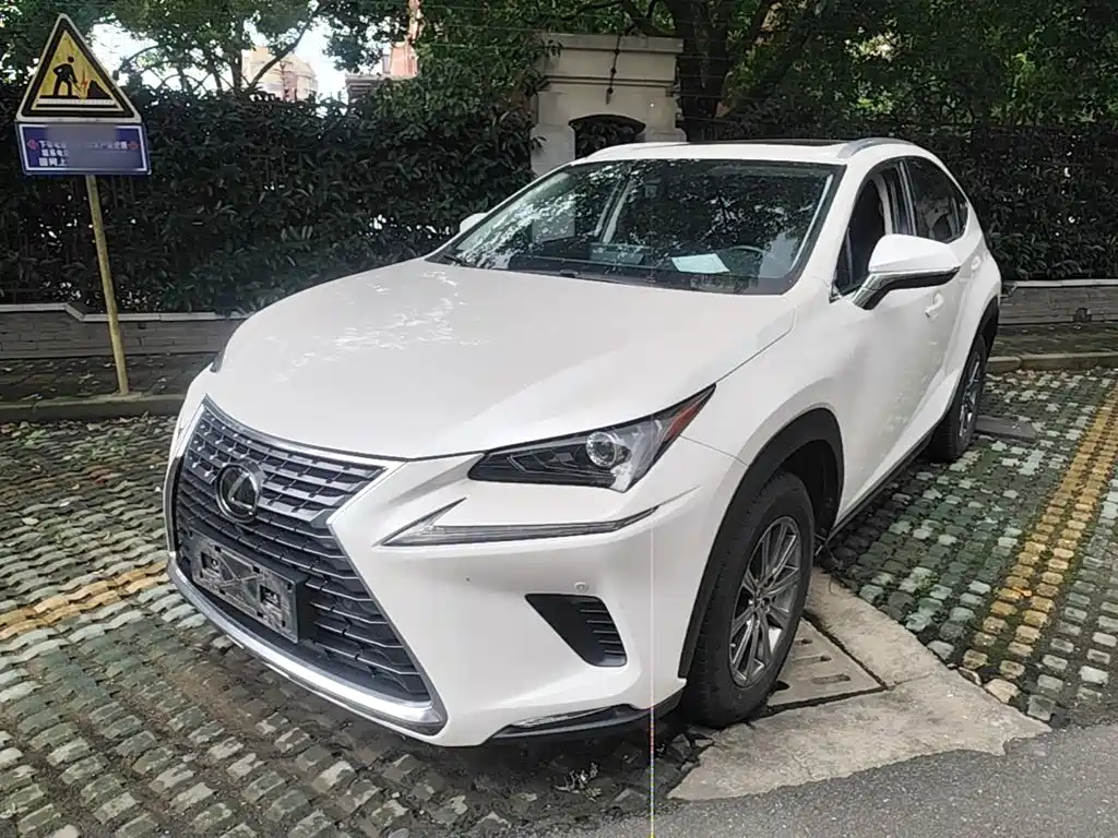 Lexus NX 2020 — фото 1