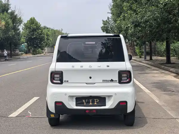 Geely Galaxy Panda 2024