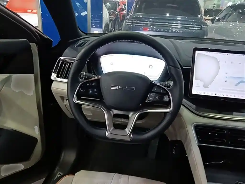 BYD PLUS New Energy 2024 — фото 11