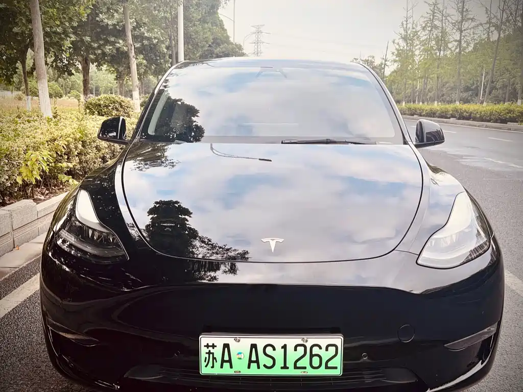 Tesla Model Y 2021 — фото 3