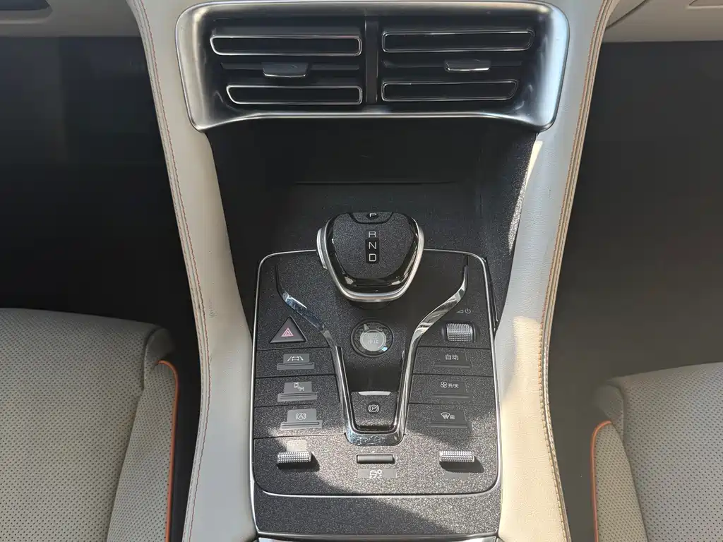 BYD Song PLUS New Energy 2023 — фото 18