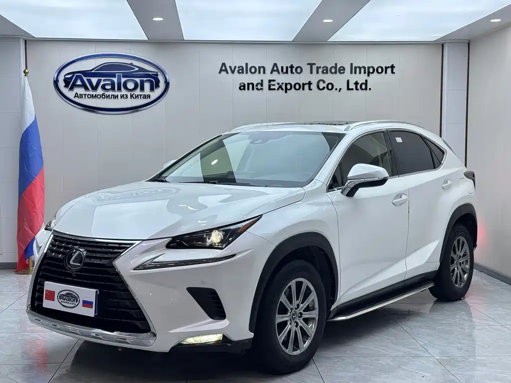 Lexus NX 2020 — фото 1