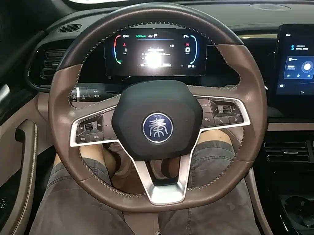 BYD Qin PLUS 2024 — фото 11