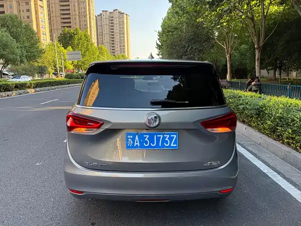 Buick GL6 2019
