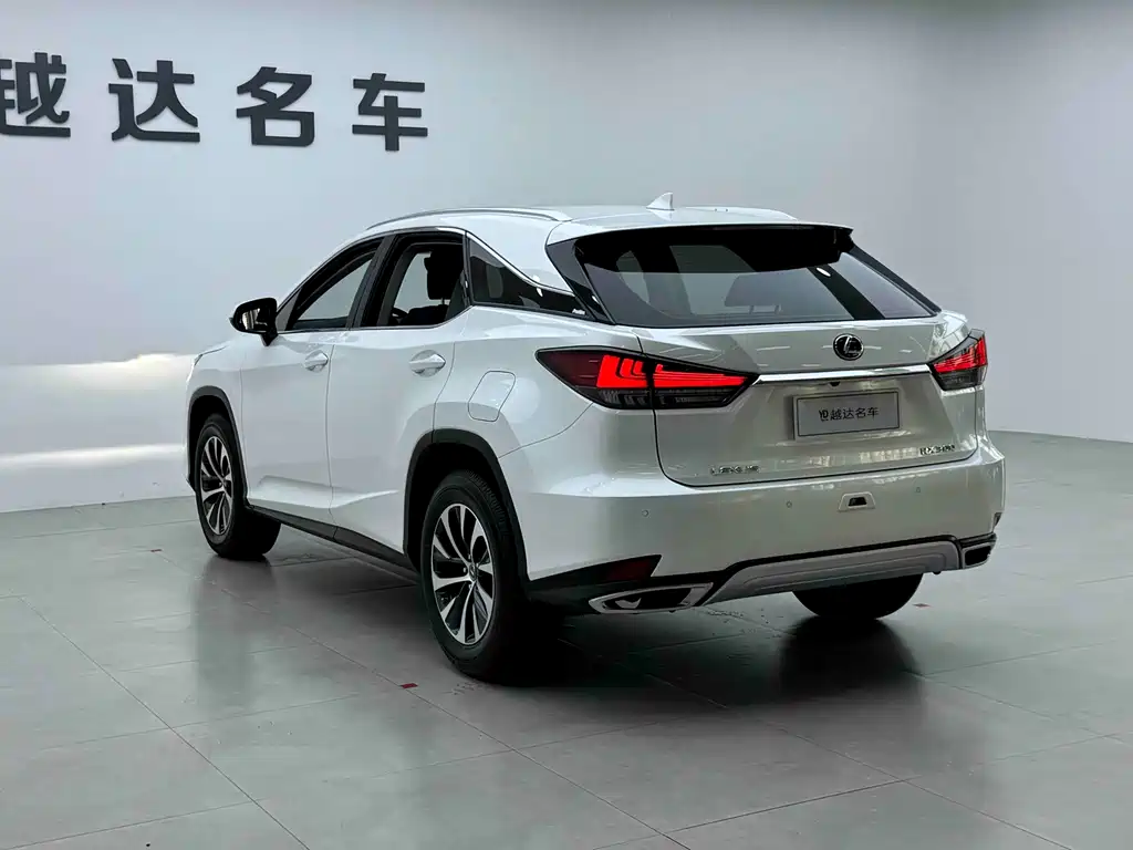 Lexus RX 2023 — фото 19
