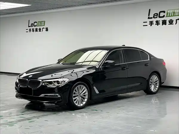 BMW 5 Series New Energy 2019