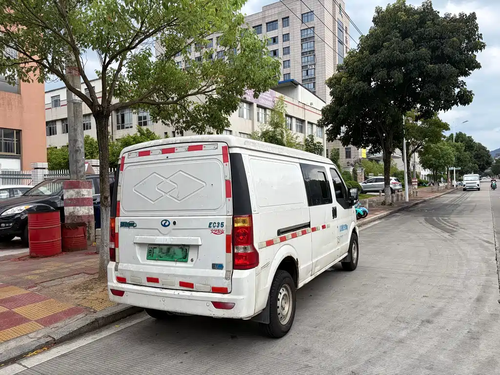 Ruichi EC35 2021