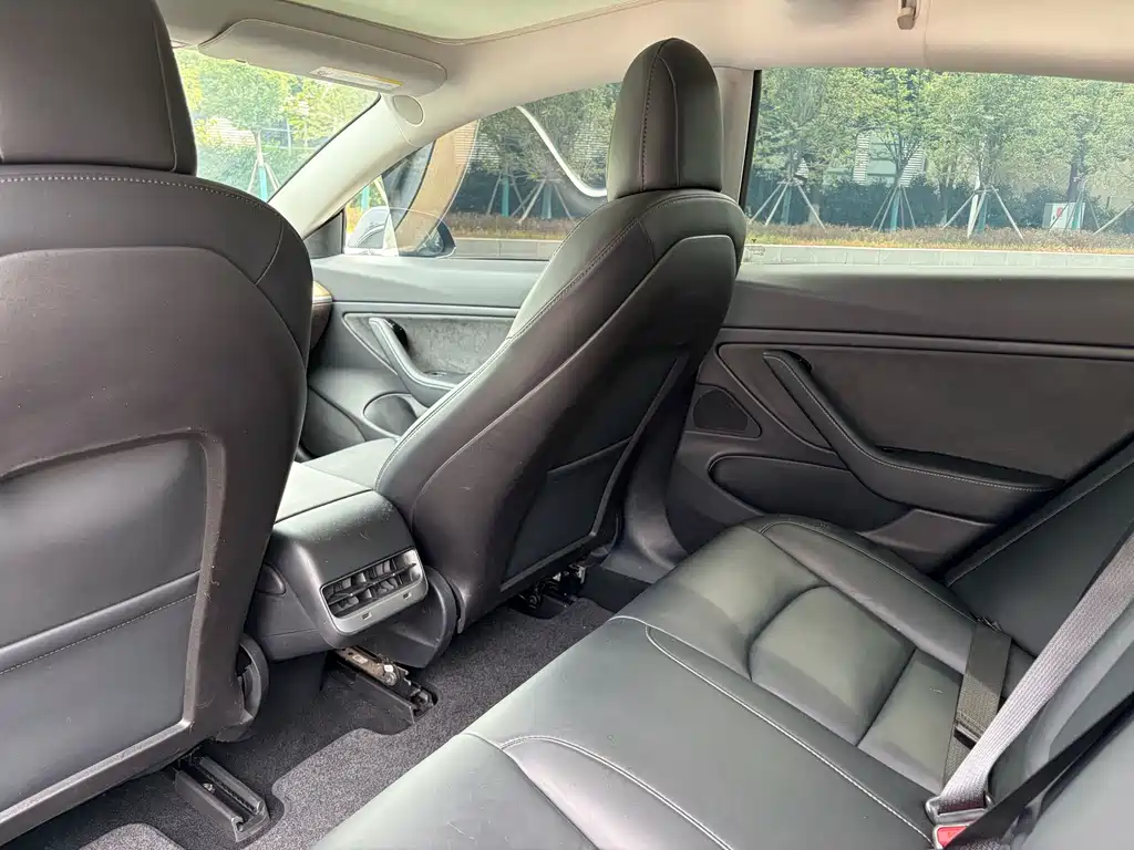 Tesla Model 3 2019