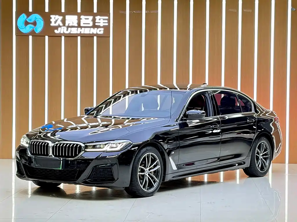 BMW 5 Series New Energy 2021