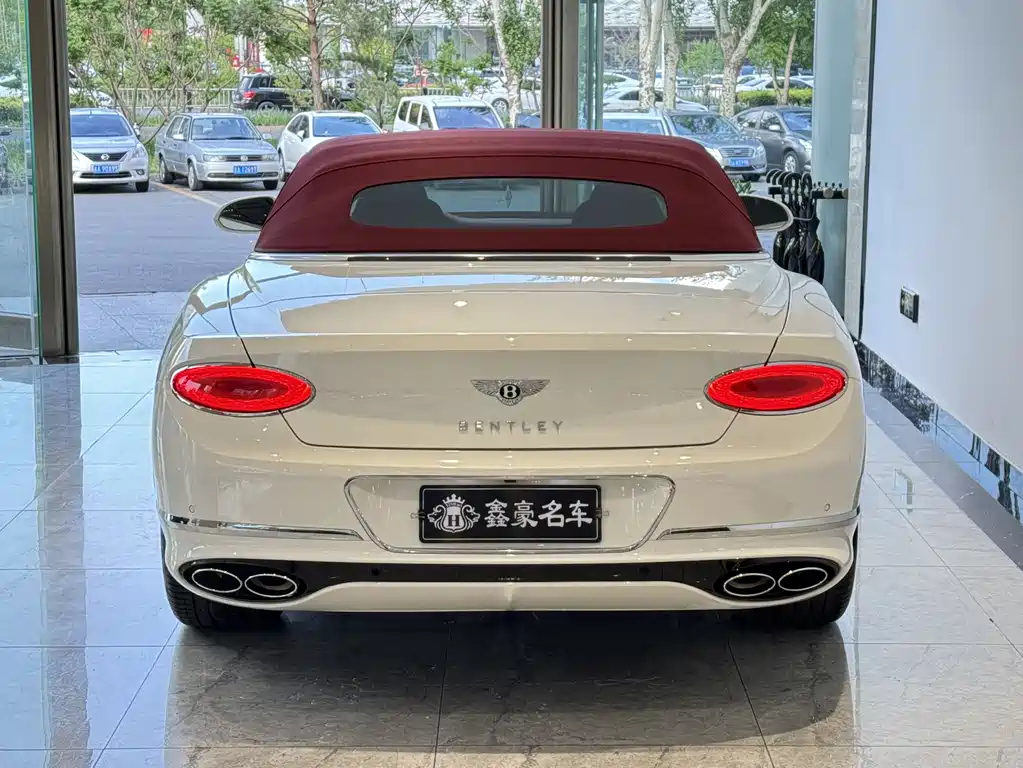 Bentley Continental 2023 — фото 19