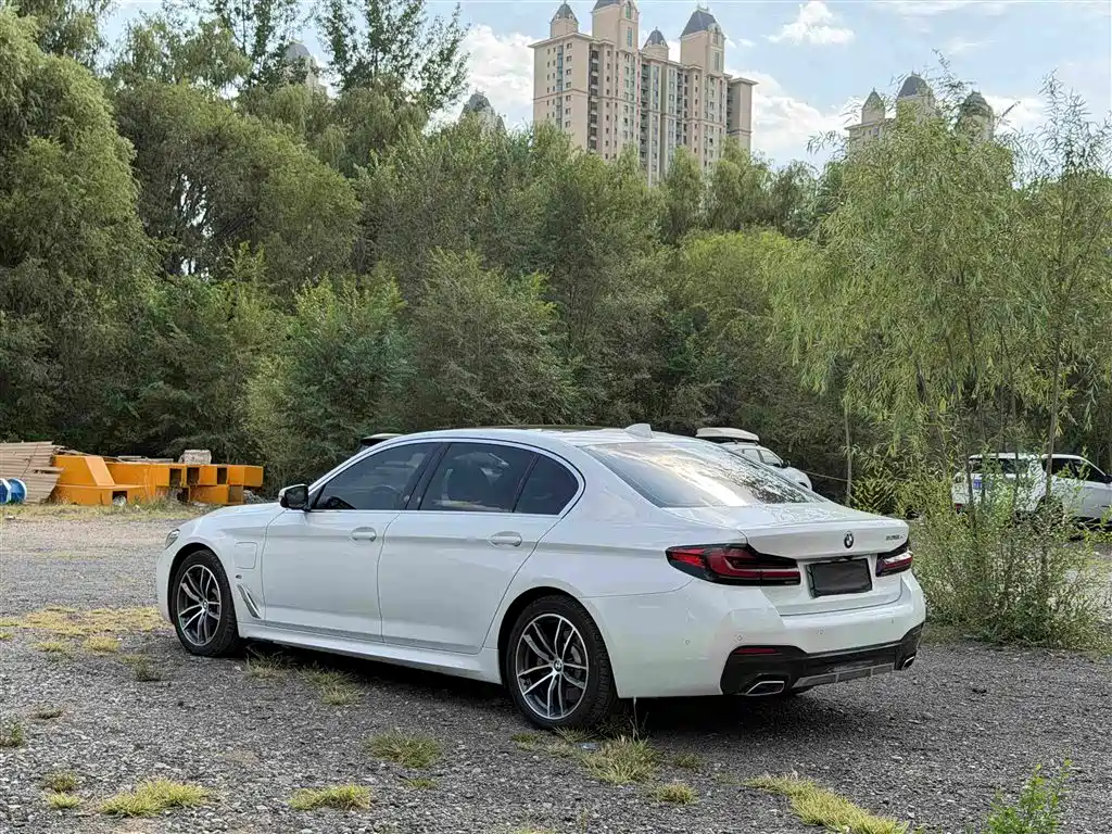 BMW 5 Series New Energy 2020
