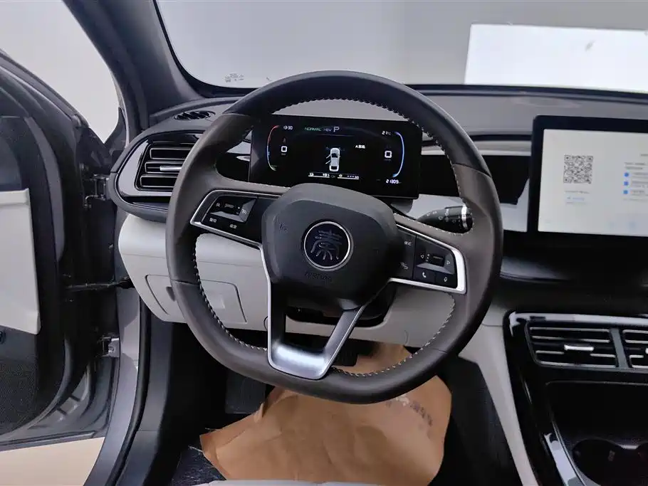 BYD Qin PLUS 2024 — фото 15